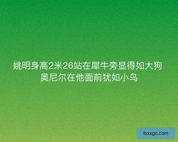 姚明身高2米26站在犀牛旁显得如大狗 奥尼尔在他面前犹如小鸟