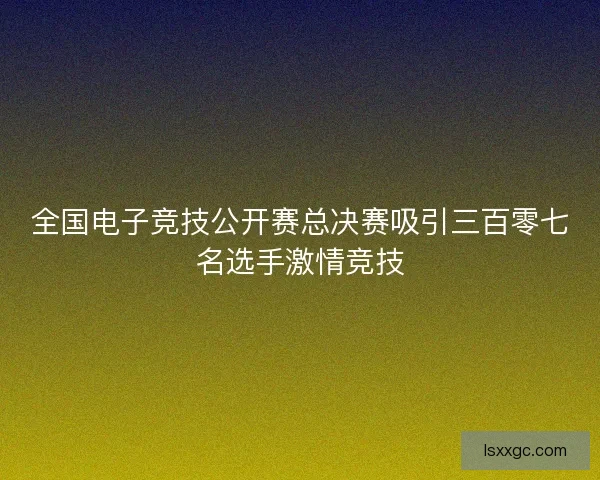 全国电子竞技公开赛总决赛吸引三百零七名选手激情竞技 全国电子竞技公开赛总决赛吸引三百零七名选手激情竞技