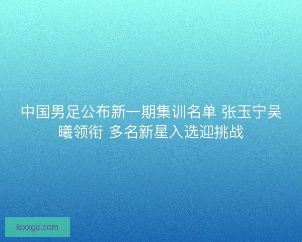 中国男足公布新一期集训名单 张玉宁吴曦领衔 多名新星入选迎挑战