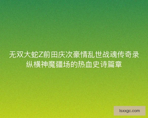无双大蛇Z前田庆次豪情乱世战魂传奇录纵横神魔疆场的热血史诗篇章